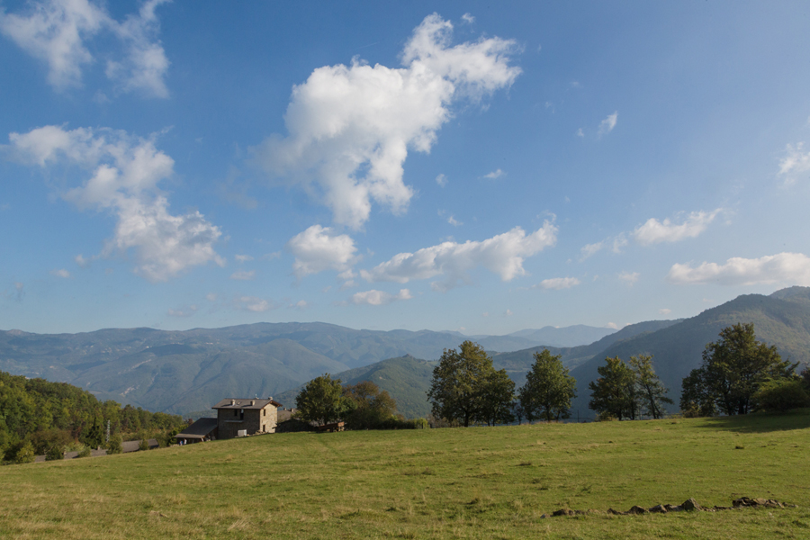 Soc. Coop. Mogliazze, bobbio, dottor Mozzi